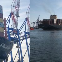 Zdjęcie - Azjatycki gigant – MSC Gülsün wpłynął do Portu Gdańsk