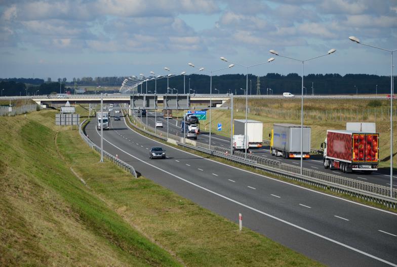 Dystrybucja krajowa i międzynarodowa TIRSPED