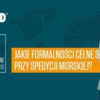 Zdjęcie - Jakie formalności celne są niezbędne przy spedycji morskiej?